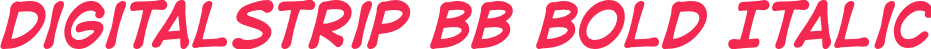 DigitalStrip BB Bold Italic